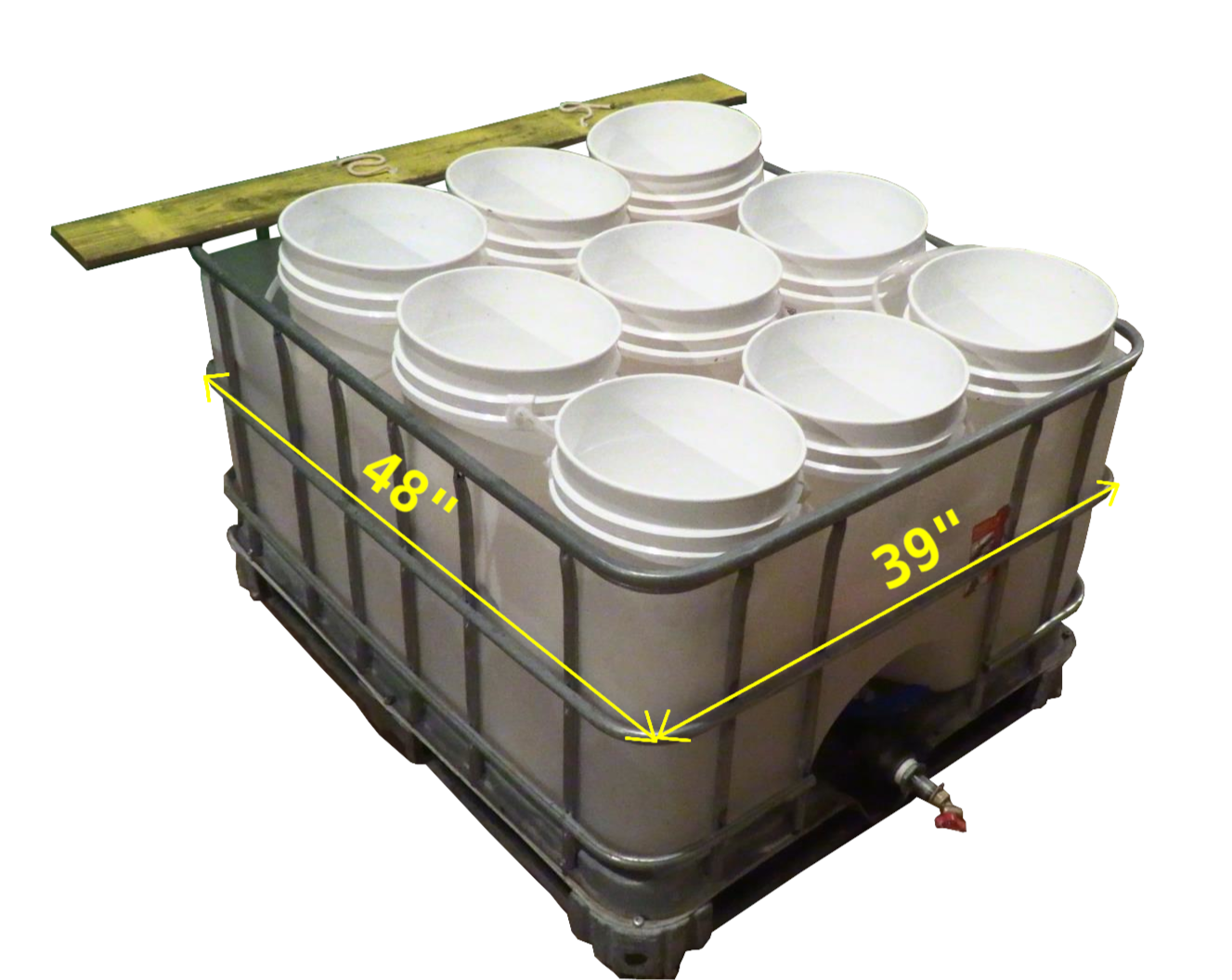 First Year of the wicky garden, September 2022